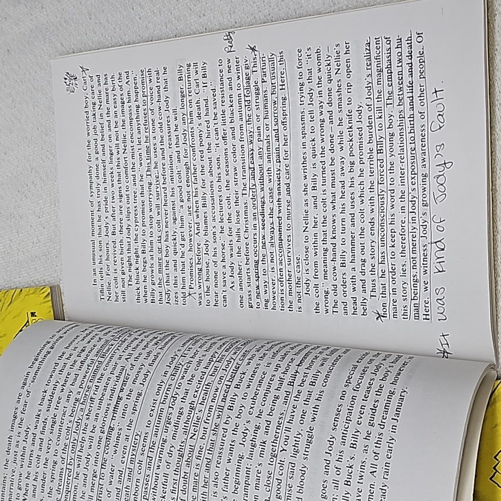 Cliffs Notes - Bundle - Picture 4 of 12